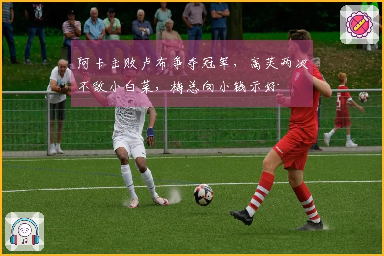 阿卡击败卢布争夺冠军，高芙两次不敌小白菜，梅总向小钱示好