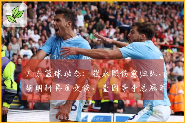 广东篮球动态：崔永熙伤愈归队，胡明轩再度受伤，奎因争夺总冠军